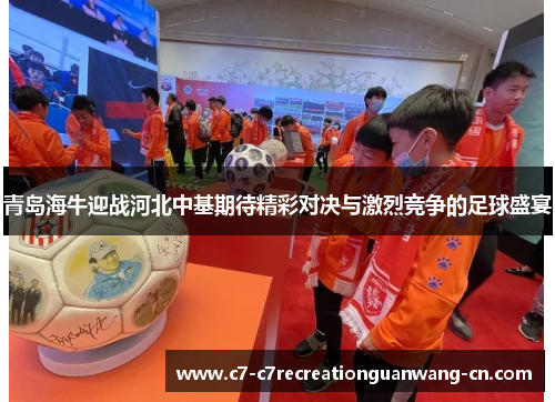 青岛海牛迎战河北中基期待精彩对决与激烈竞争的足球盛宴